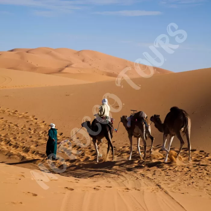 Merzouga desert